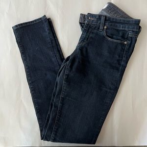 PAIGE Jeans _ Skyline Skinny _ 26